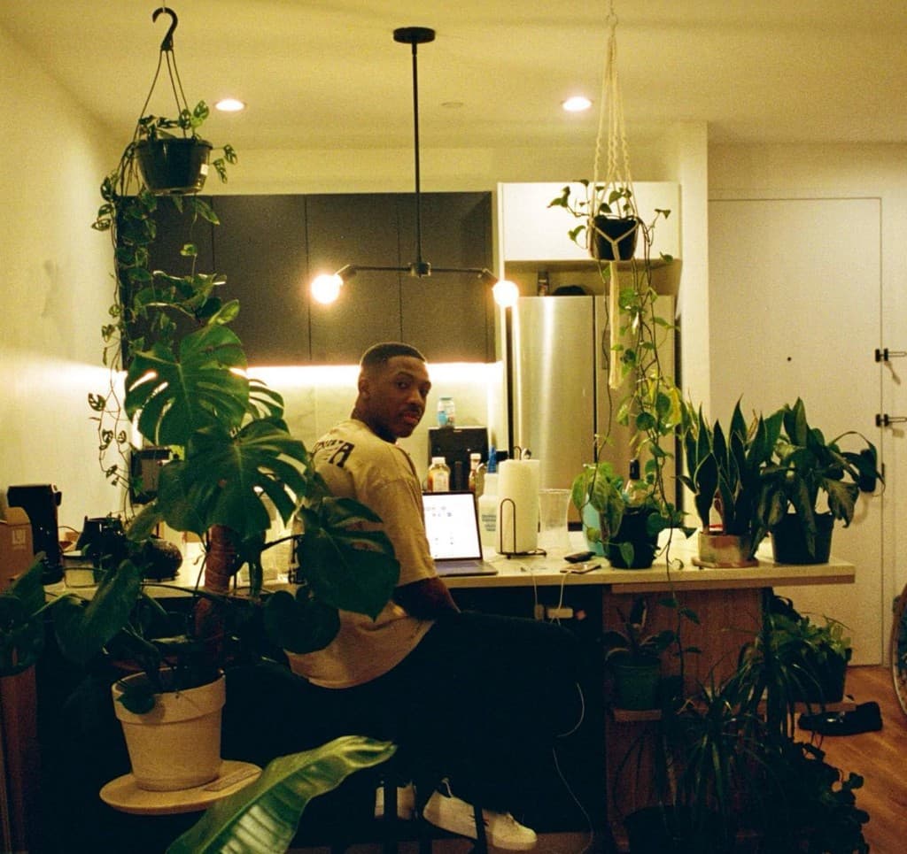 Lapo at a kitchen counter with laptop closed, surrounded by houseplants